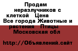 Продам 2 неразлучников с клеткой › Цена ­ 2 500 - Все города Животные и растения » Птицы   . Московская обл.